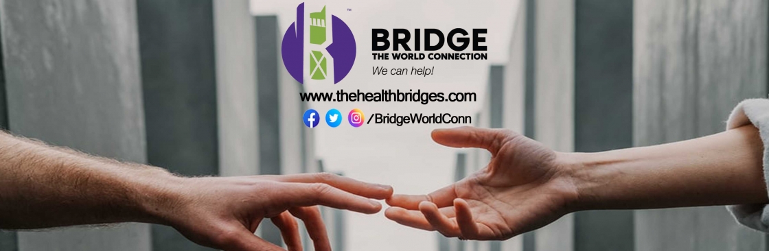 The Health Bridges Cover Image