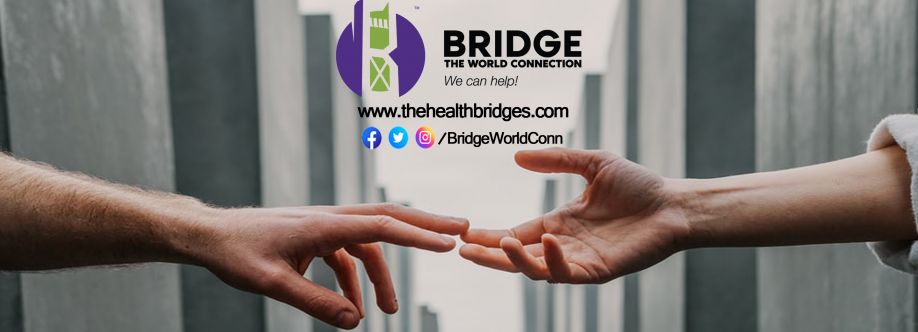 Bridge the World Connection Cover Image