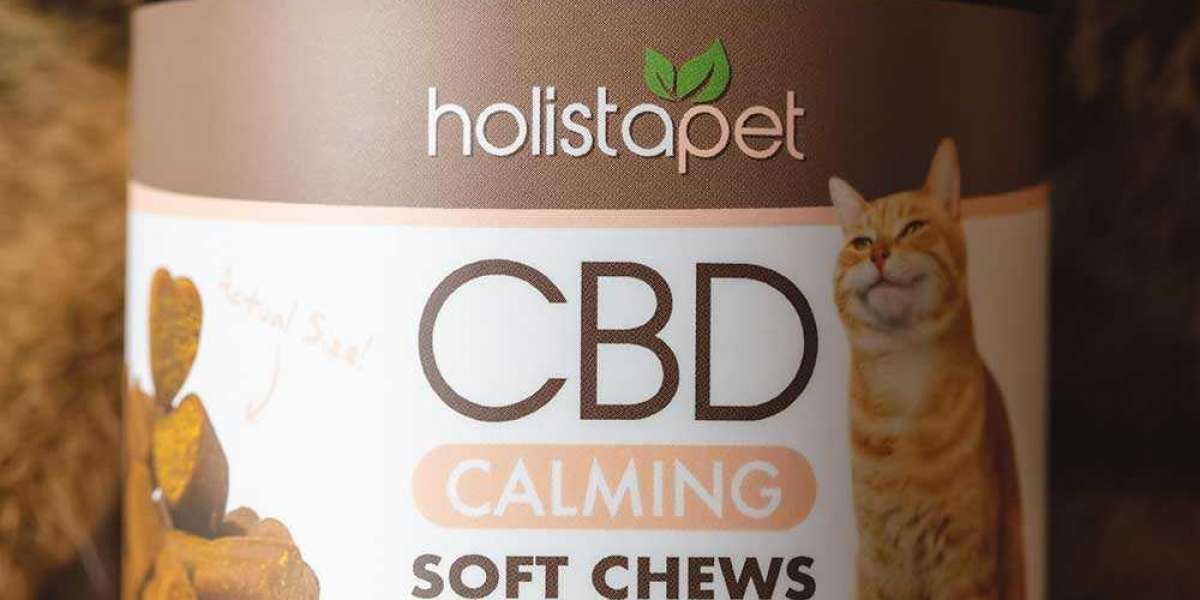 Importance Of CBD Calming Chews For Cats