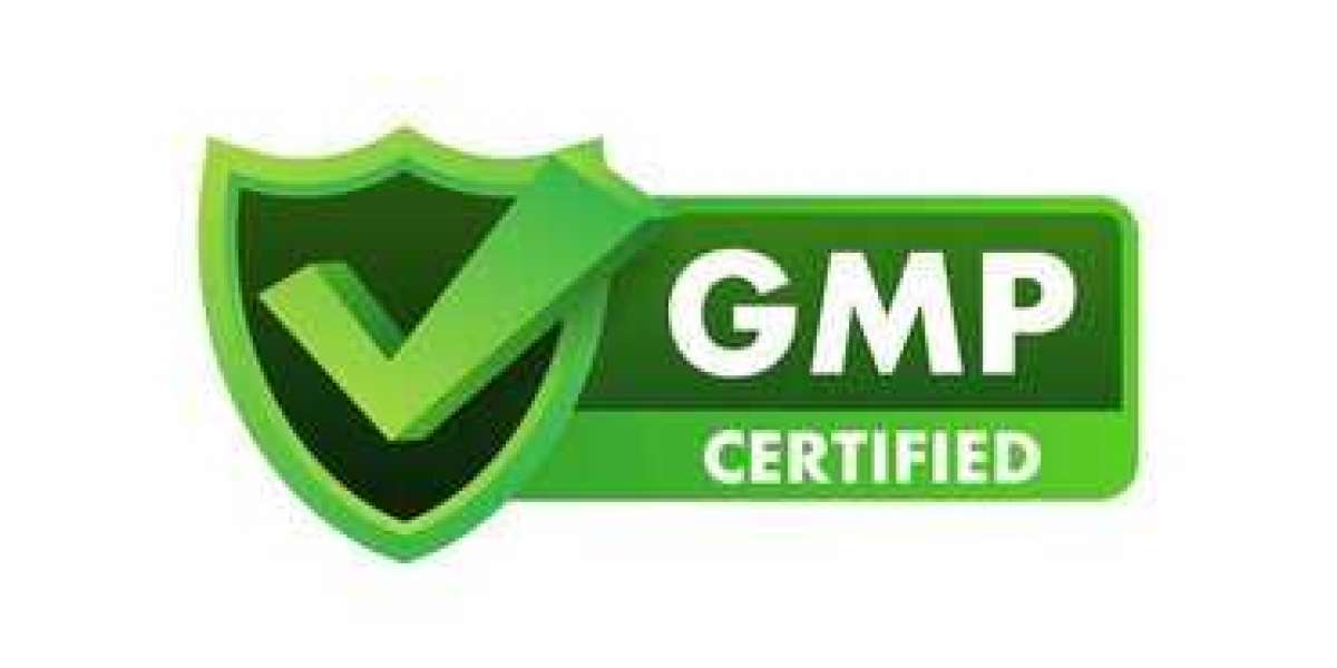 GOOD MANUFACTURING SERVICES (GMP)