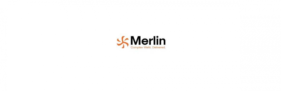 Merlin ERD limited Cover Image