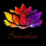 Bromelia Retreat Healing Center Profile Picture