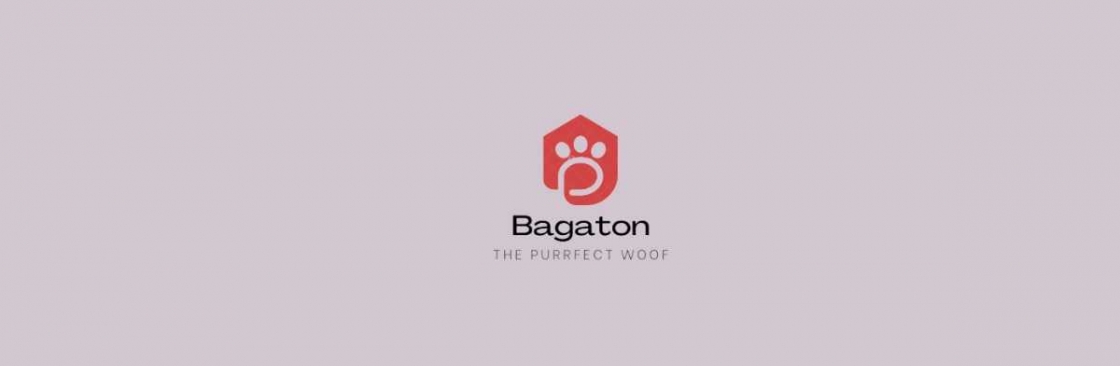 BagaTon Cover Image