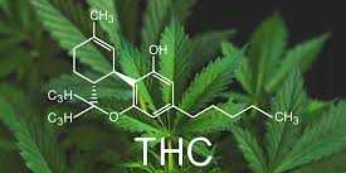 Are You Curious To Know About THC detox