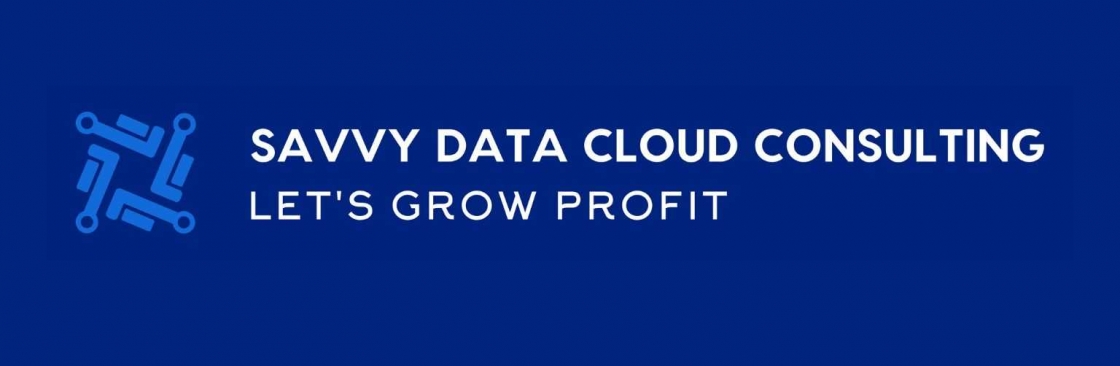 Savvy Data Cloud Consulting Cover Image
