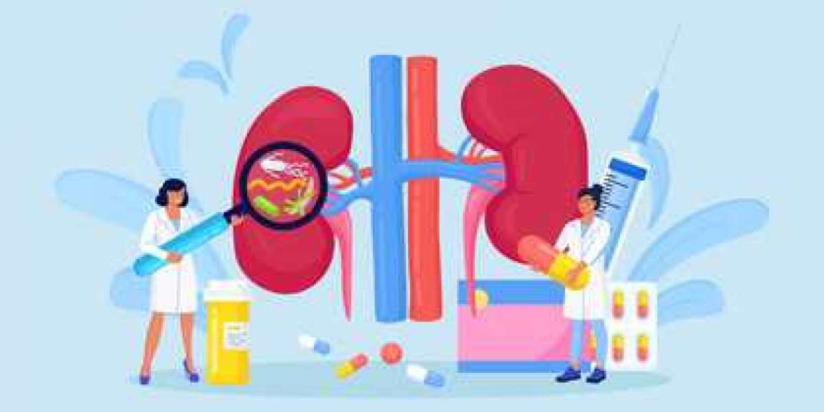 Dialysis Market: Current Status, Opportunities, and Future Prospects
