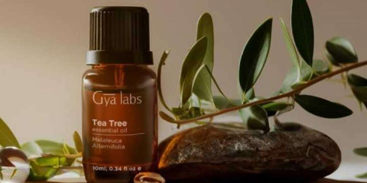 Tea Tree Oil Shampoo: Your Solution to Scalp Issues and Luscious Hair