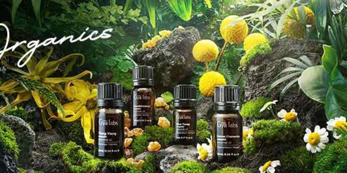 Where to Buy Pure Essential Oils: A Guide to Gyalabs' Organic Essential Oils