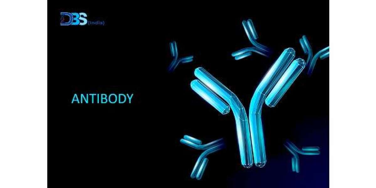 The Next Big Thing in Primary Antibodies Providers in India: A Comprehensive Guide