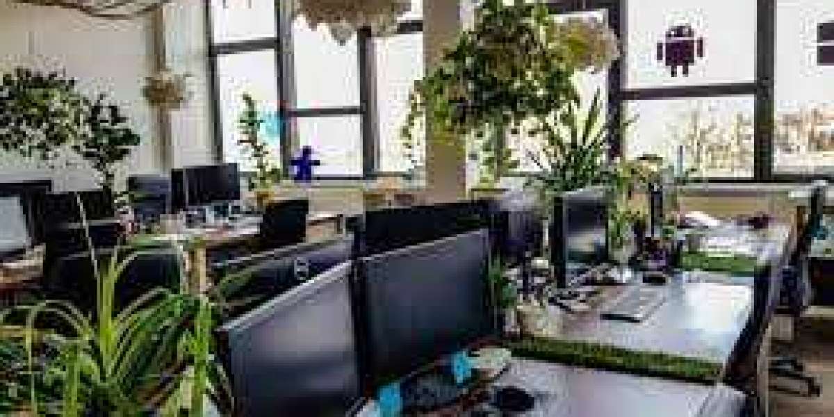 12 Ideal Plants for Your Office Desk