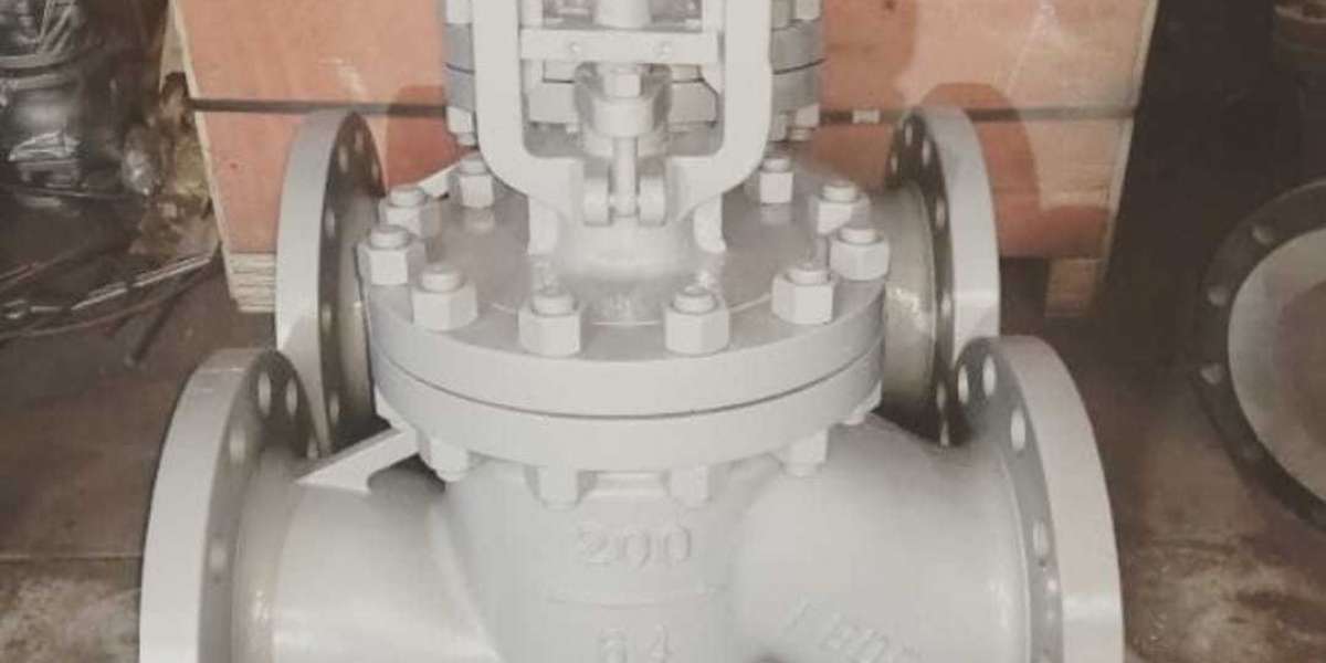 Pressure seal globe valve manufacturer in Italy