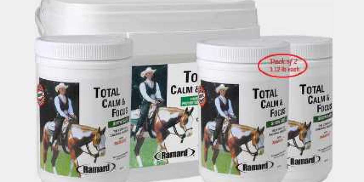 Know About the Equine Immune Support and Its Importance
