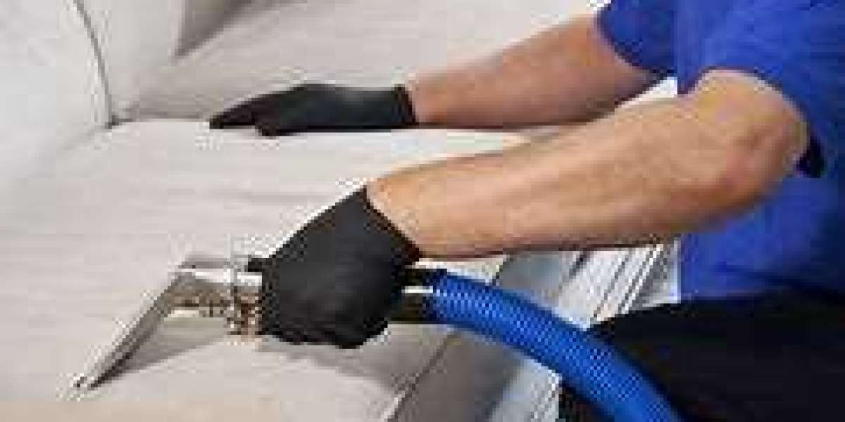 Professional Carpet Cleaning Services for a Healthier Home