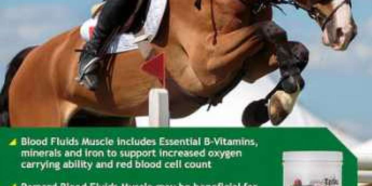 Building Muscles in Horses for Improved Performance