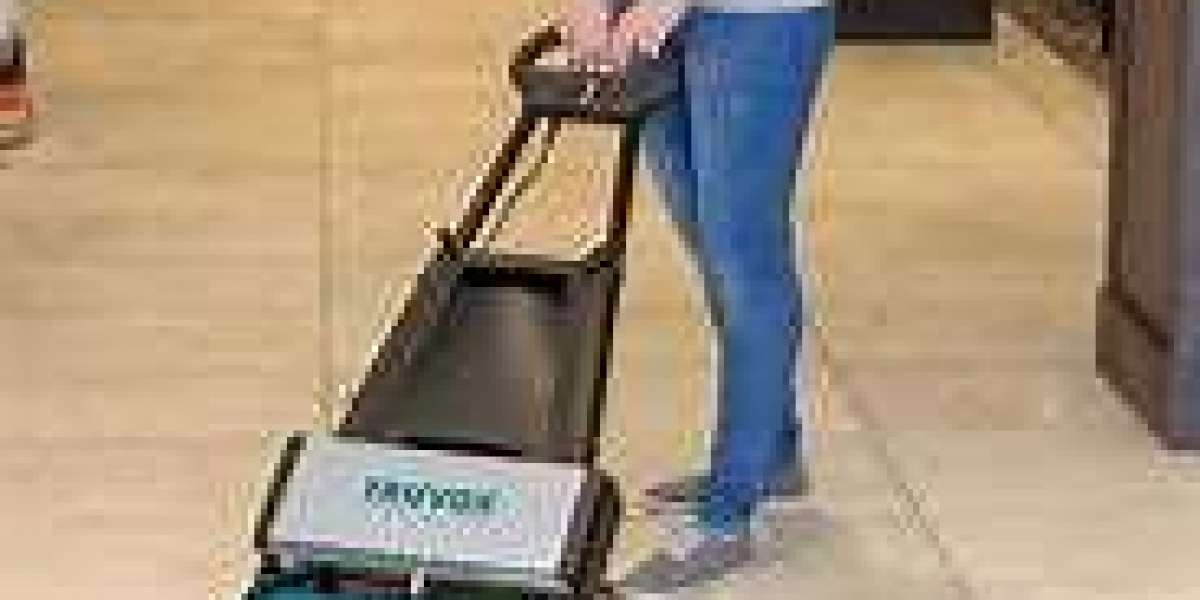 Carpet Cleaning Services and Their Role in Protection