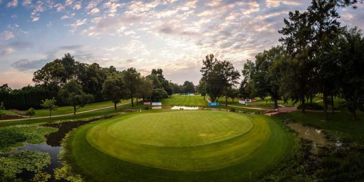 All You Need to Know About the Best Golf Clubs in South Africa