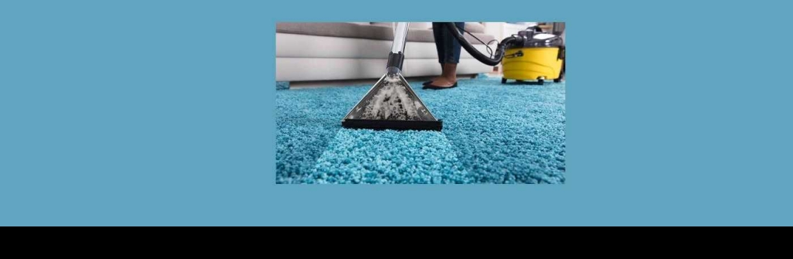 The Flying Carpet and Tile Cleaner Cover Image