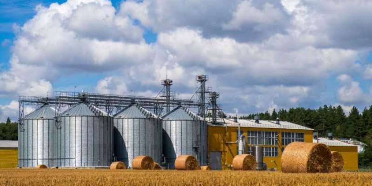 Key Factors Driving the Growth of the Grain Silos Market 