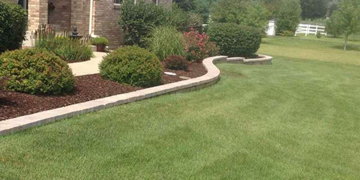 Revitalize Your Lawn: Expert Fertilization and Weed Management in Rockford and Cherry Valley