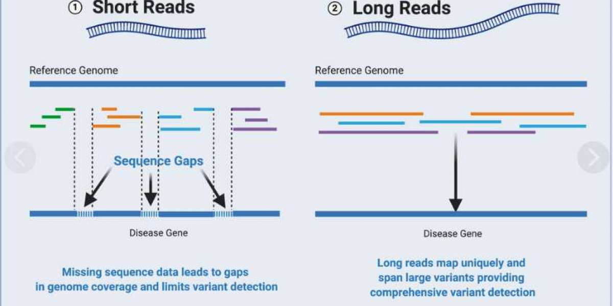 Long Read Sequencing Market Trends, Sales, Supply and Analysis by Forecast 2027