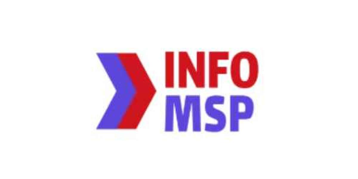 Managed Service Provider - Info MSP