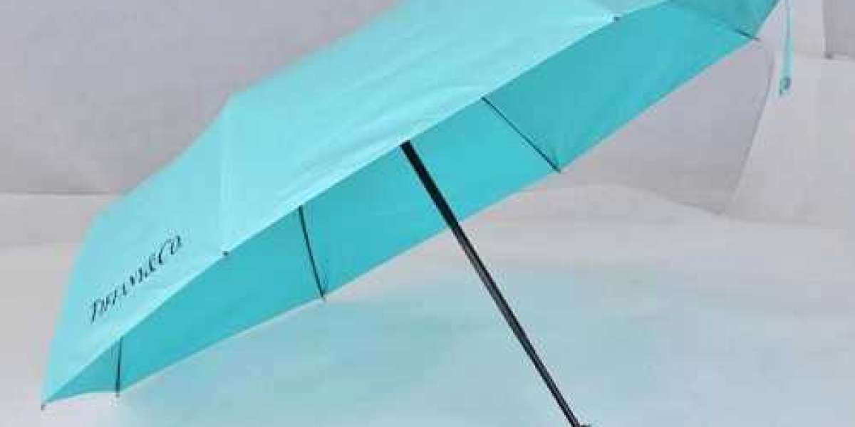Elevate Your Rainy Days with a Tiffany and Co Umbrella and Hot Water Bags