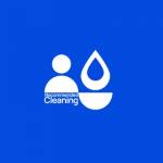 Recommended Cleaning Profile Picture