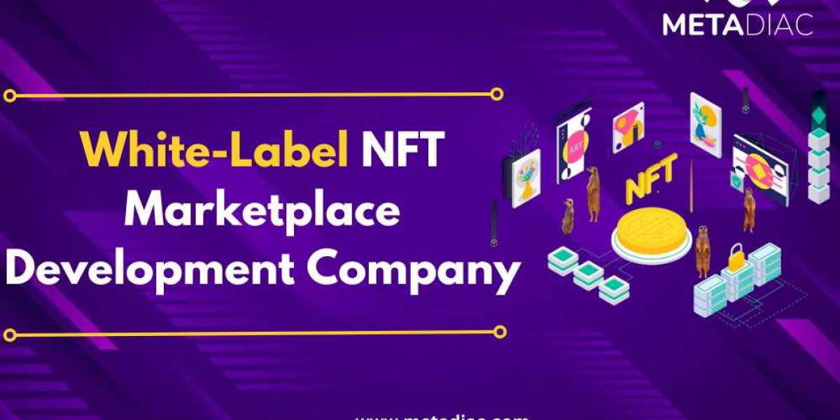 Which is the best white-label NFT marketplace development company?