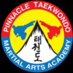 Pinnacle Martial Arts Profile Picture