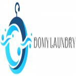 Domy Laundry Profile Picture
