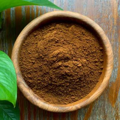 Chaga Extract Powder | Balanced Root Apothecary Profile Picture