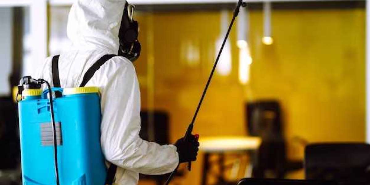 Conquer Your Home with TechSquadTeam's Pest Control in Chennai