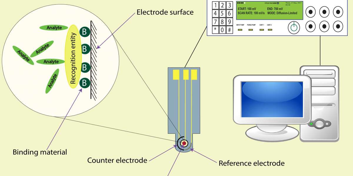 Electrochemical Biosensors Market Goes Global: Exploring Growth in Japan, US, China & France