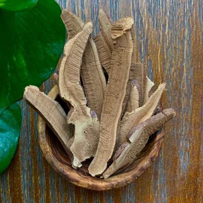 Buy Reishi Slices | Balanced Root Apothecary Profile Picture
