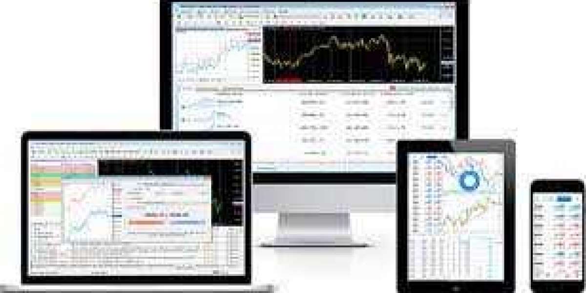 For unparalleled API trading performance, trust CWG Stock