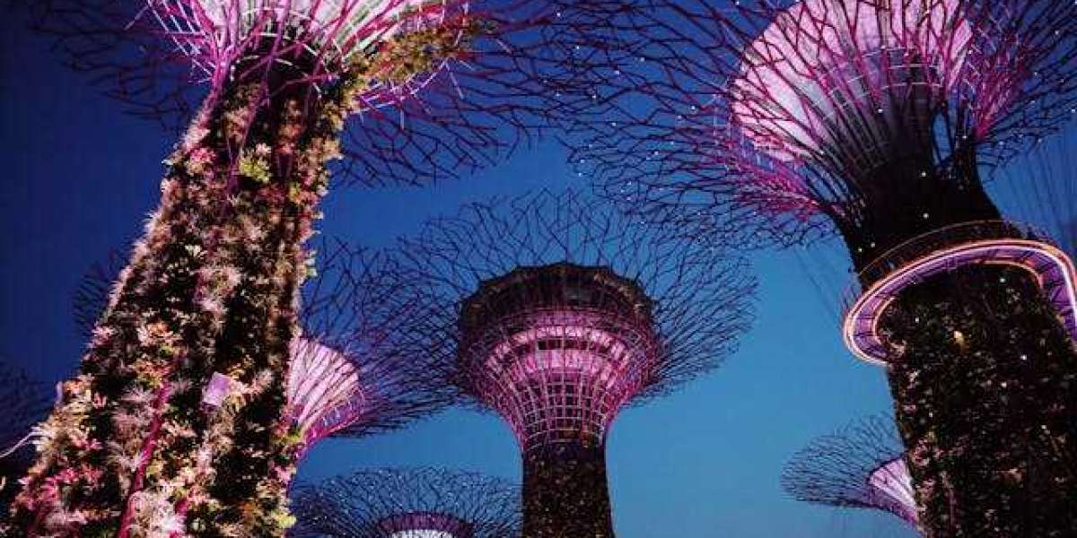 Explore Singapore with singapore tour packages from kochi [2024]