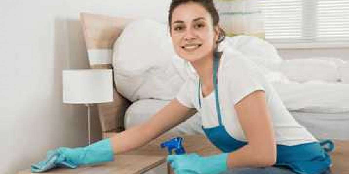 Professional Cleaning Services in Brisbane
