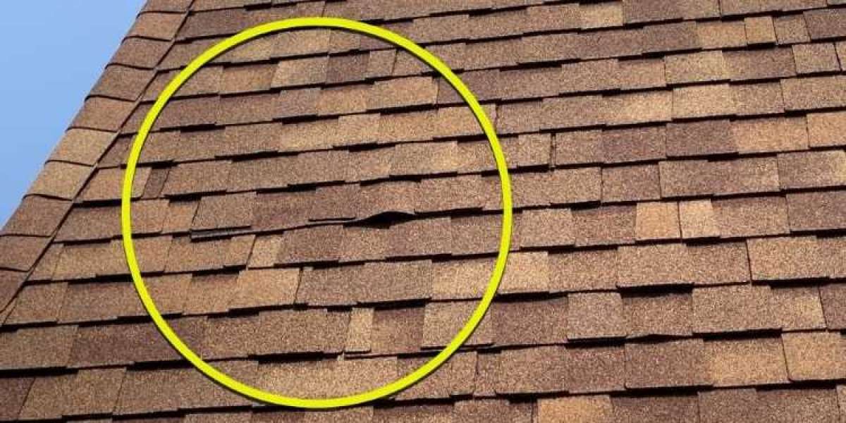 Roofing 101: Understanding Different Roof Types and Their Advantages