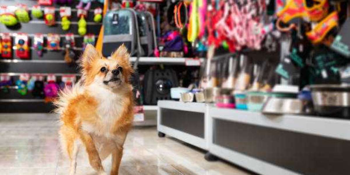 The Convenience and Caution of Buying Puppies Online