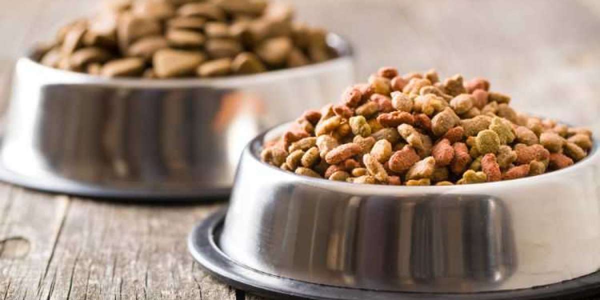 Unveiling the Growth Trajectory: Latin America Pet Food Market Analysis 2024-2032