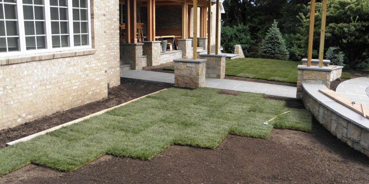 How to Renovate Lawns