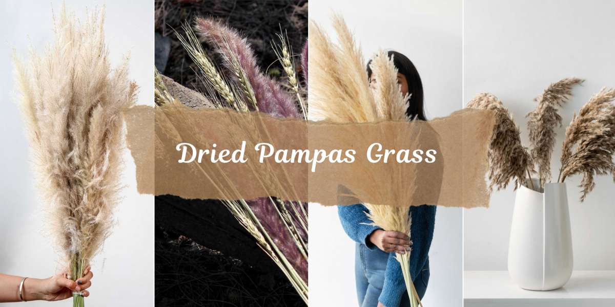 How to Store Dried Pampas Grass to Keep it Looking Stunning