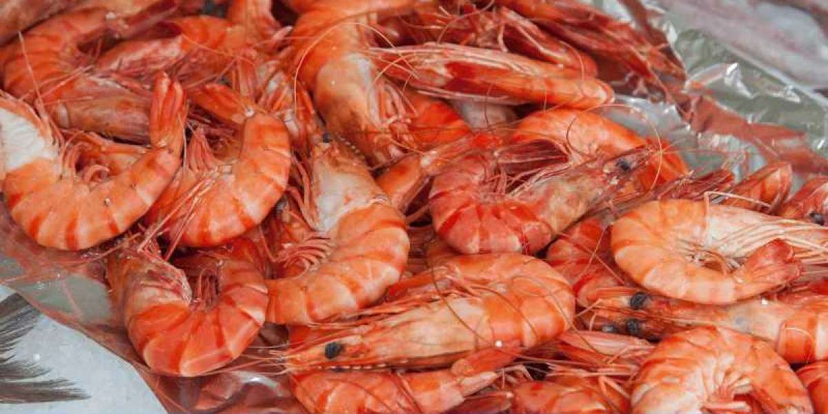 United States Shrimp Market Size, Share, Growth, Overview, Price, Outlook, Report and Forecast 2024-2032