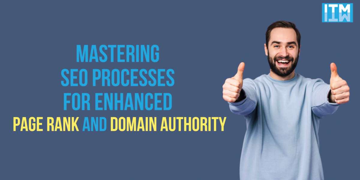 Mastering SEO Processes for Enhanced Page Rank and Domain Authority