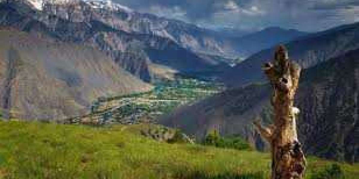 Top National Parks In Pakistan for Wildlife Lovers