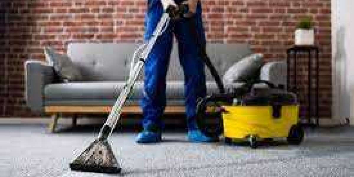 Your Carpet’s Best Friend: Top-Notch Cleaning Services