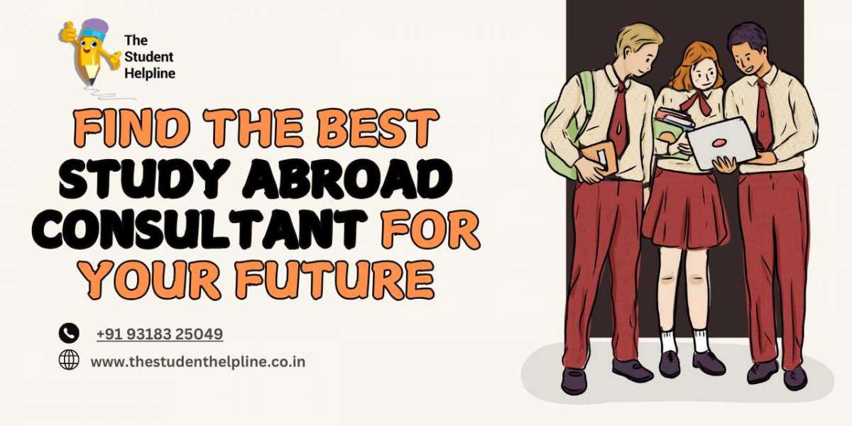 Find the Best Study Abroad Consultant for Your Future