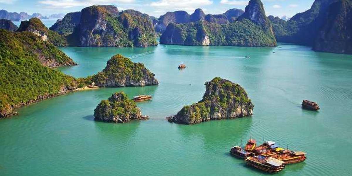 A Guide to Uncover the Top 7 Things to See in Vietnam