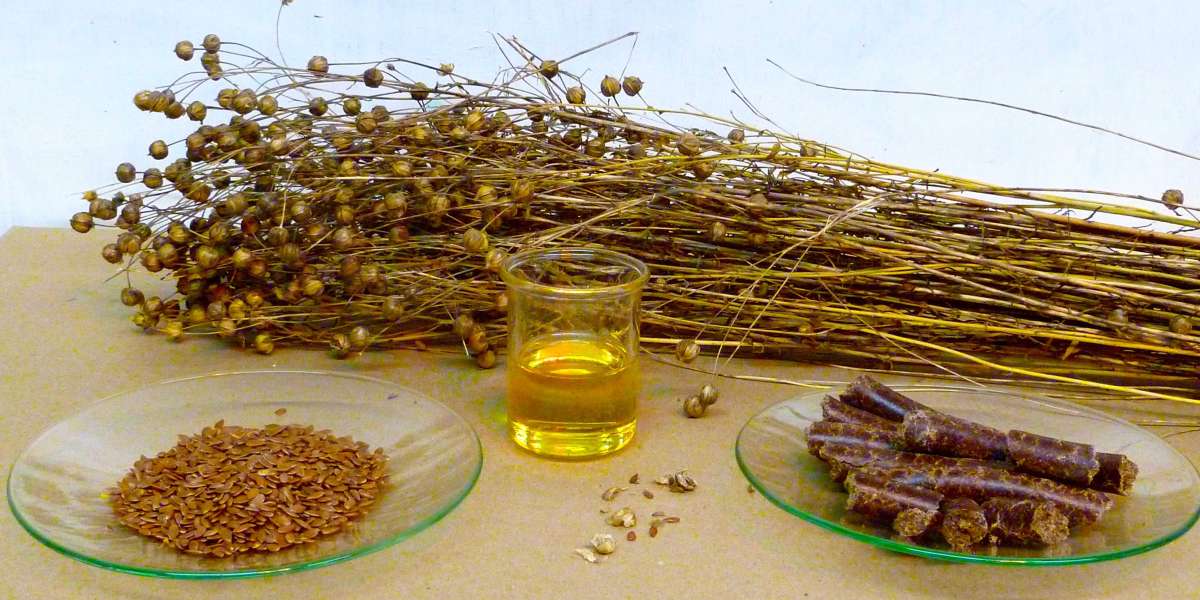 Equipments and Machinery Requirement Report For Linseed Oil Processing and Plant Setup