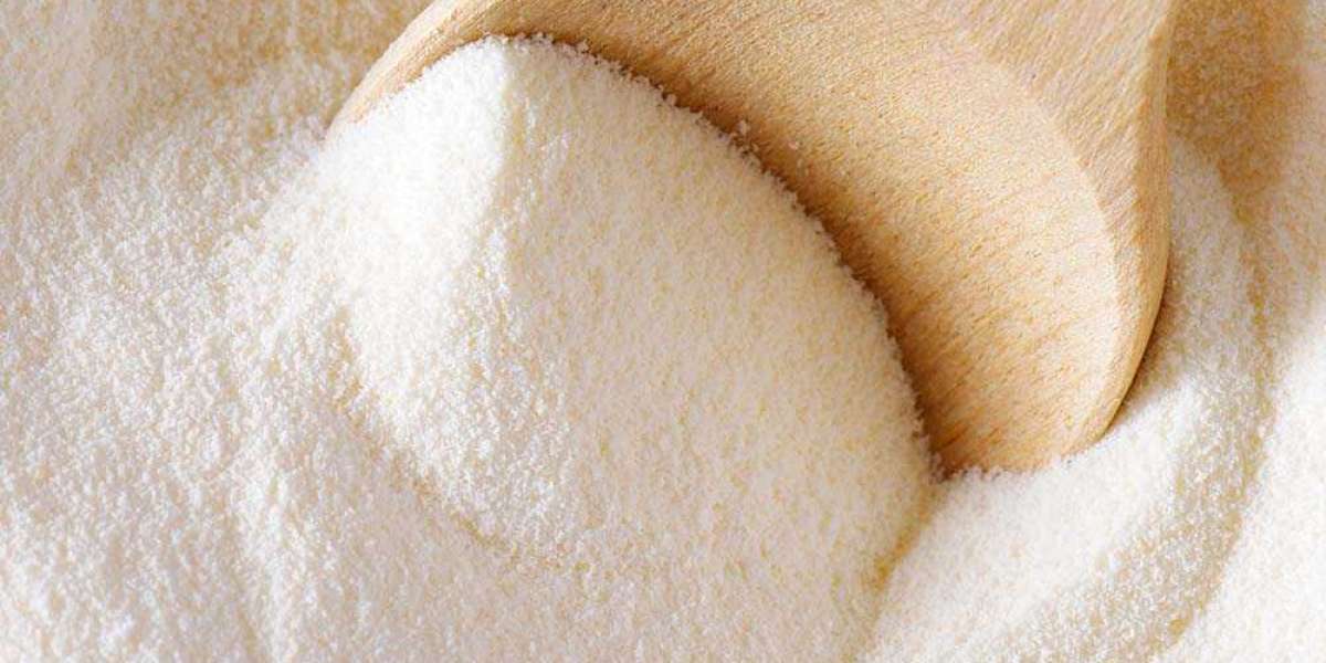 Report on Soymilk Powder Manufacturing Plant Setup with Cost Analysis and Requirements